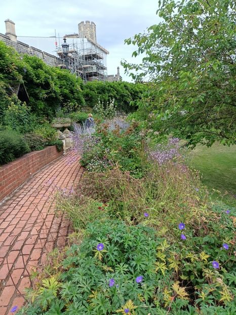 IMG20240804115911 - 10 Londra