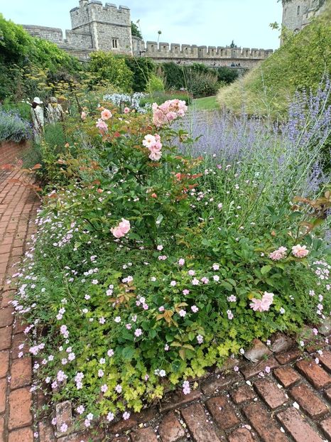 IMG20240804115939 - 10 Londra