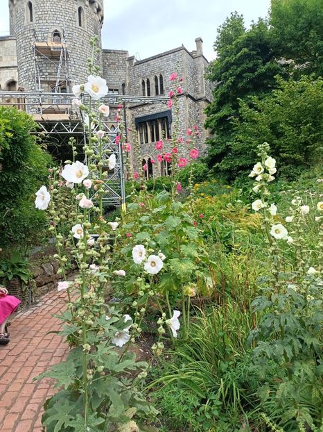 IMG20240804120122 - 10 Londra