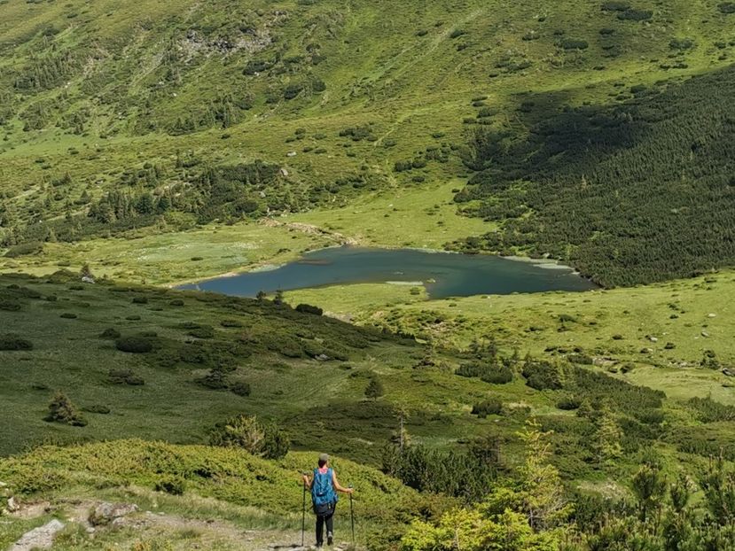  - Vf Gărgălău-Munții Rodnei iunie 2024