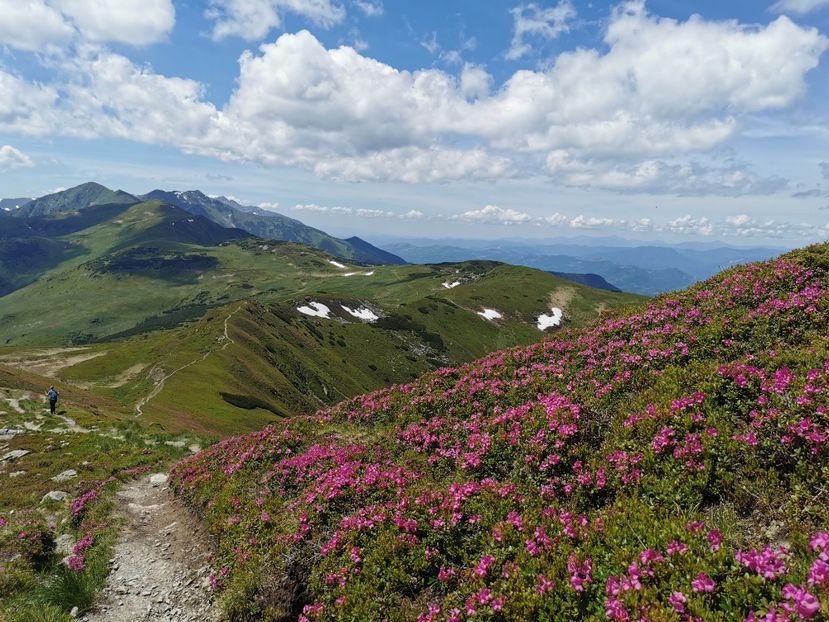  - Vf Gărgălău-Munții Rodnei iunie 2024