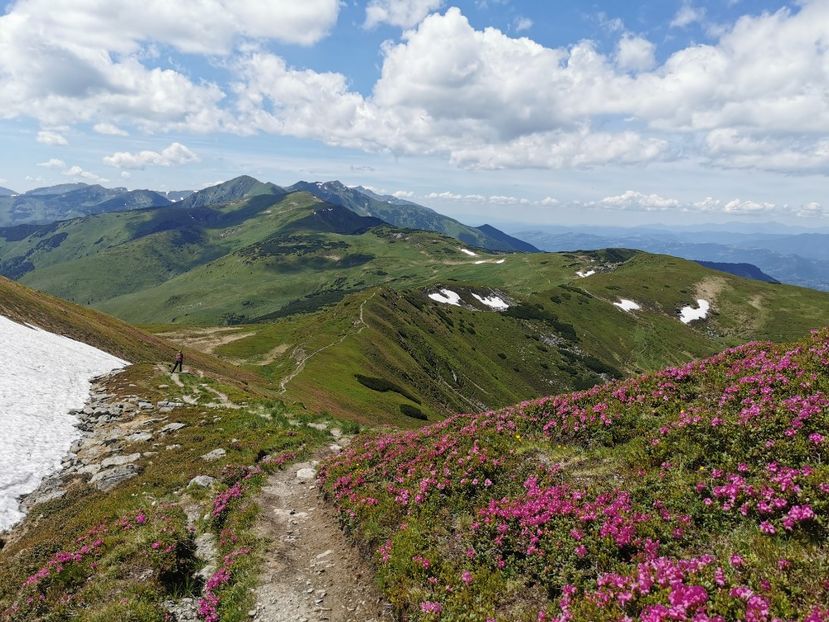  - Vf Gărgălău-Munții Rodnei iunie 2024