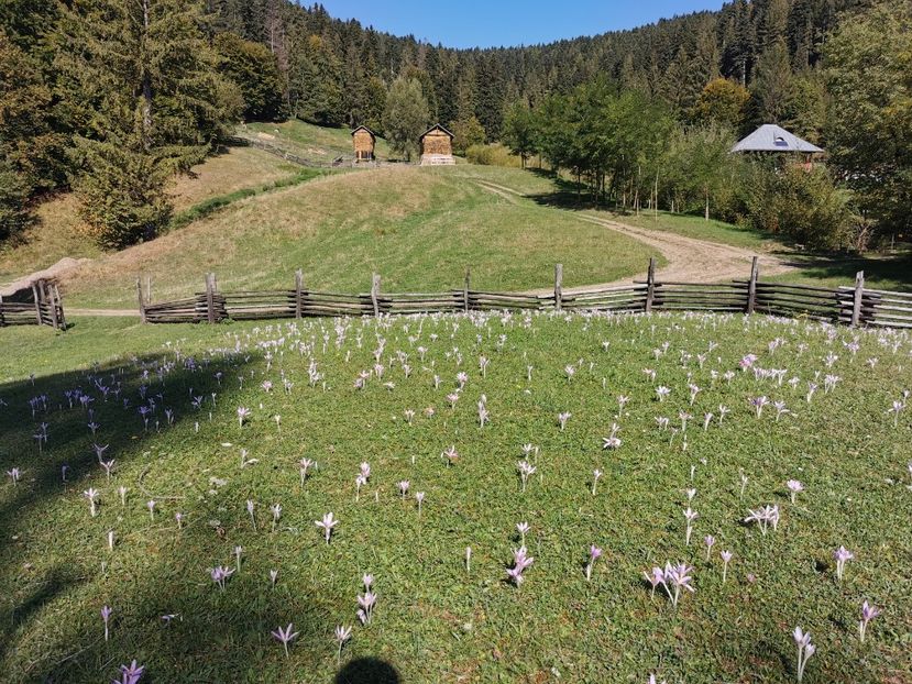  - Mănăstirea Putna