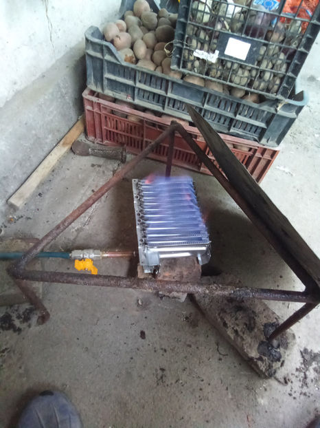 ARZATOR HOME MADE - GOSPODARESTI