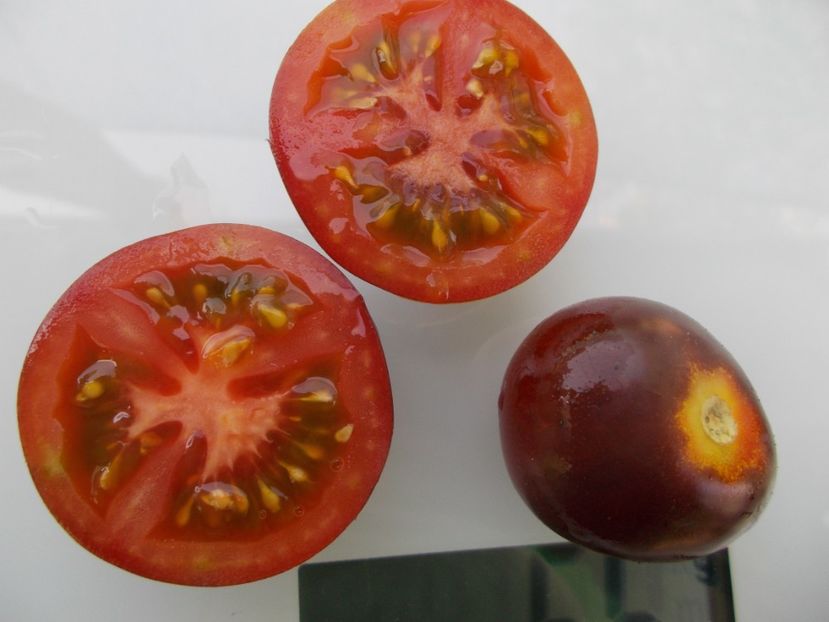  - SEMINTE ROSII - T 1055 CHERRY BING TOMATO
