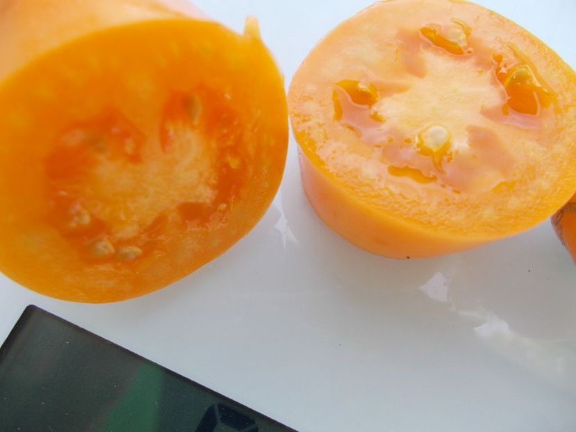  - SEMINTE ROSII - T 1116 GOLDEN BANANA