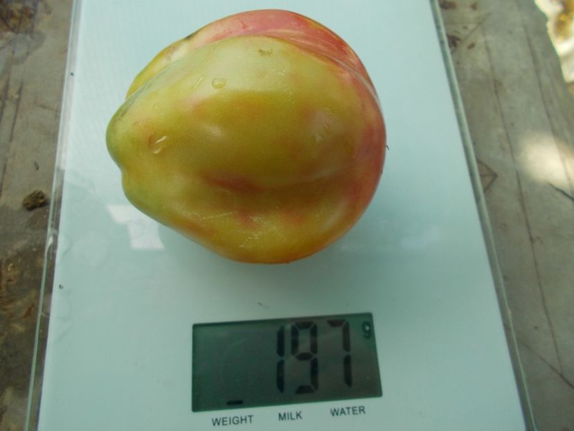  - SEMINTE ROSII - T 578 POLISH PASTEL