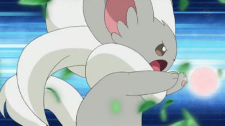  - 04 - Cinccino