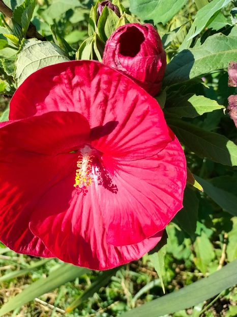 IMG20240729100405 - August 2024