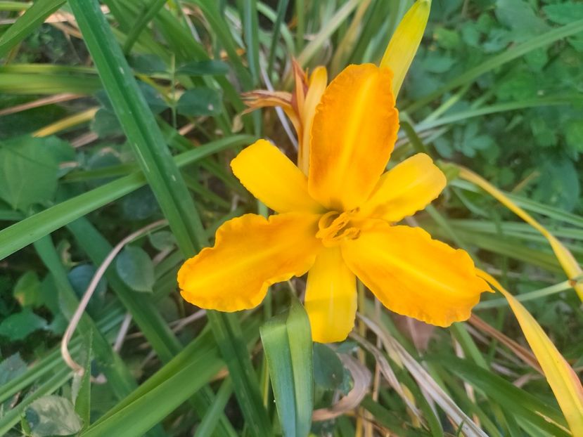 IMG20240715114937 - August 2024