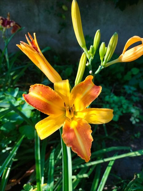 IMG20240715085926 - August 2024