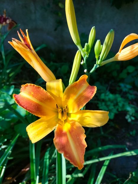 IMG20240715085924 - August 2024