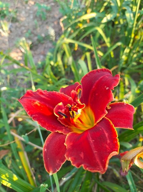 IMG20240715074552 - August 2024