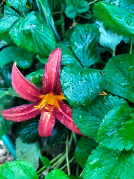 IMG20240712210442 - August 2024