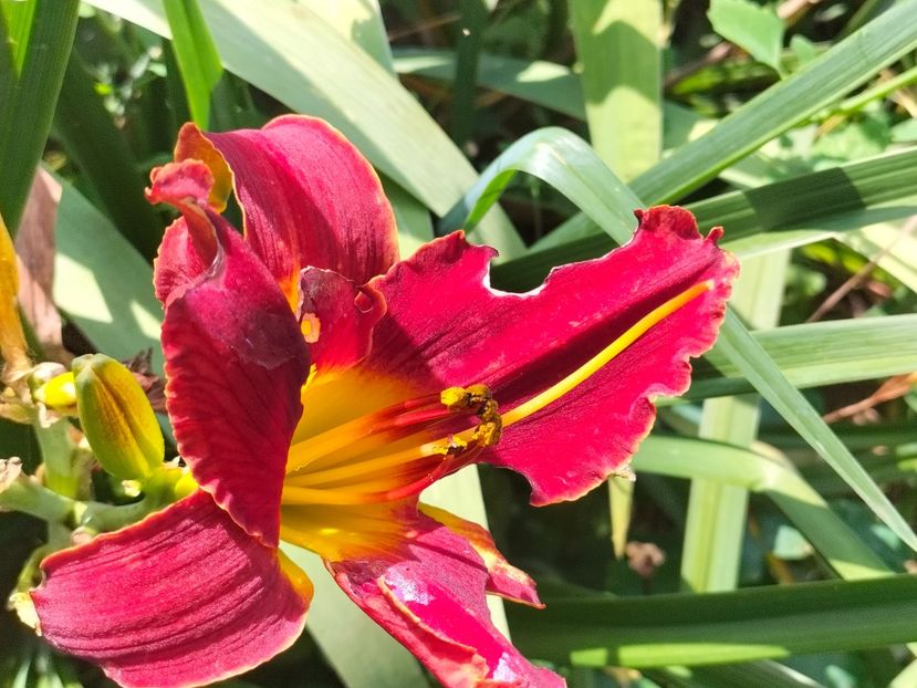 IMG20240708091505 - August 2024