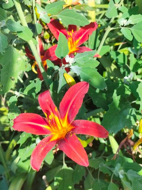 IMG20240708091451 - August 2024