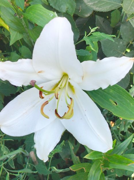 IMG20240708091403 - August 2024