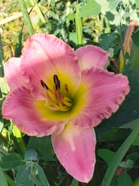 IMG20240708091328 - August 2024