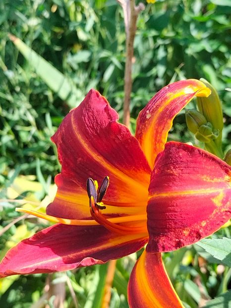 IMG20240708091311 - August 2024