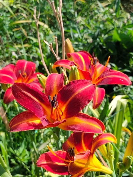 IMG20240708091307 - August 2024