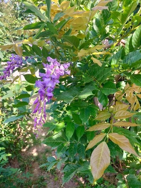 IMG20240708090242 - August 2024