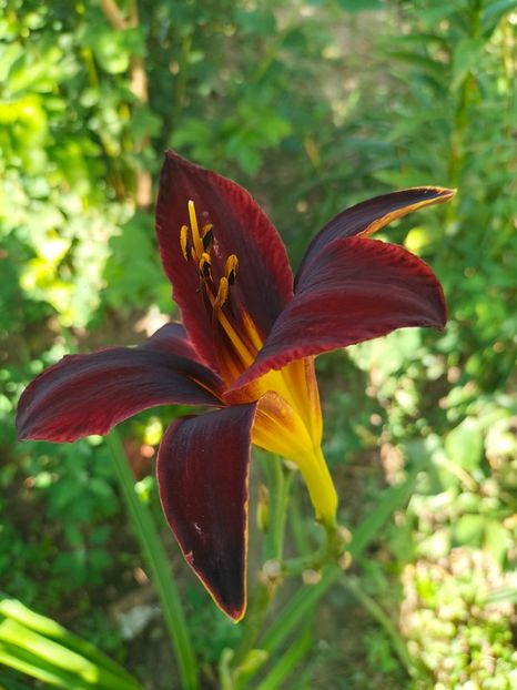 IMG20240708090232 - August 2024