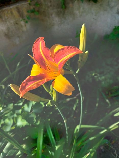 IMG20240708090210 - August 2024