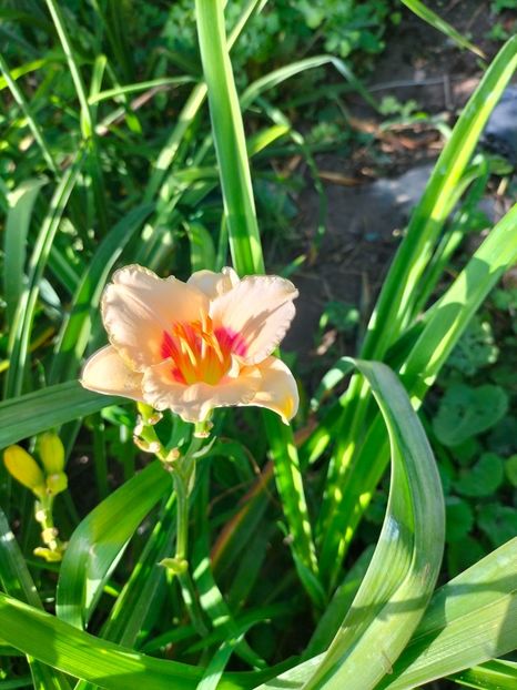 IMG20240708090208 - August 2024