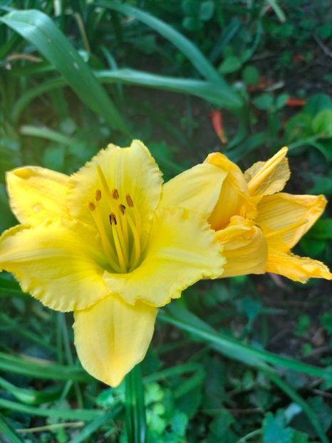 IMG20240705095248 - August 2024