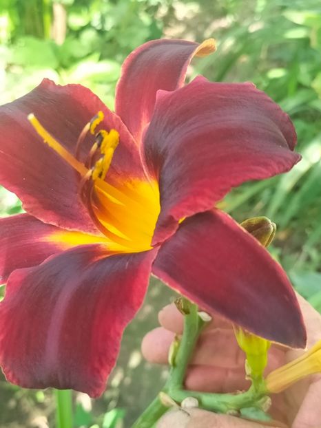 IMG20240705095211 - August 2024