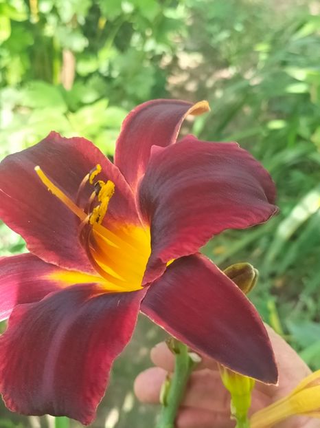 IMG20240705095208 - August 2024