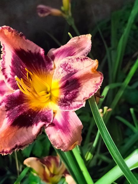 IMG20240705095134 - August 2024