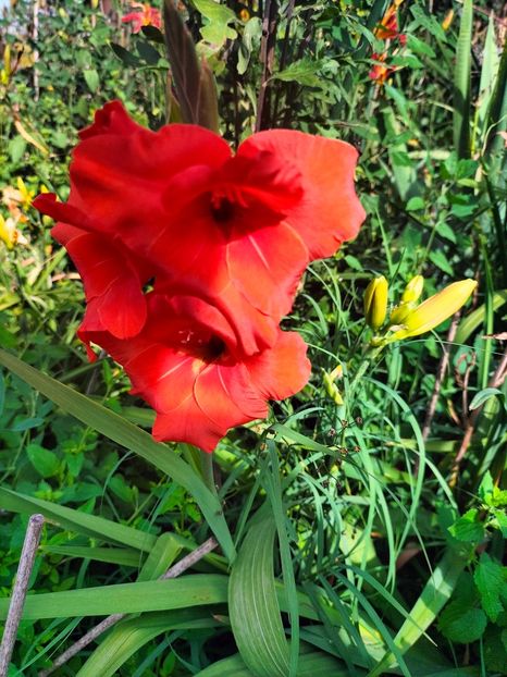 IMG20240705094910 - August 2024