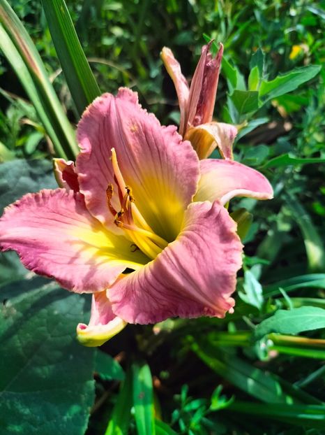 IMG20240705094744 - August 2024