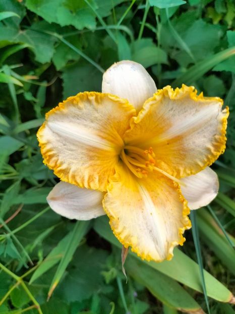 IMG20240704201228 - August 2024