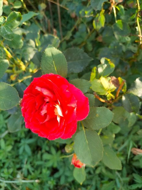 IMG20240704185121 - August 2024