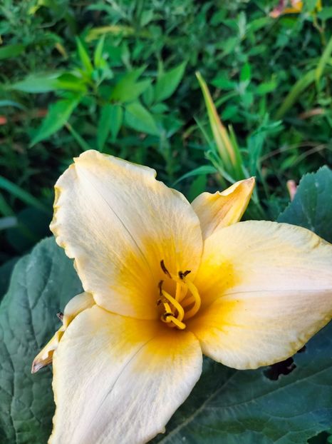 IMG20240704184839 - August 2024