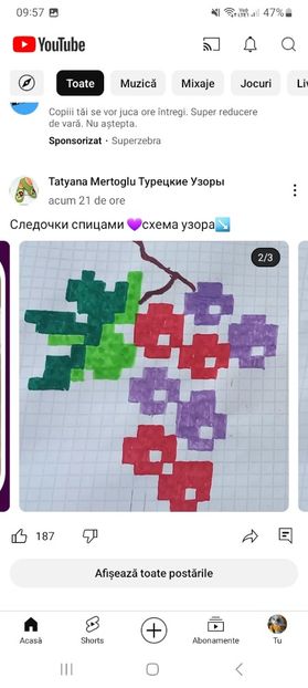 Screenshot_20240809_095758_YouTube - Scheme de tricotat
