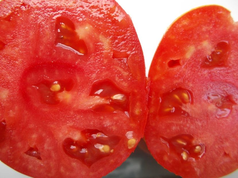  - SEMINTE ROSII - T 920 SUGAR HEART