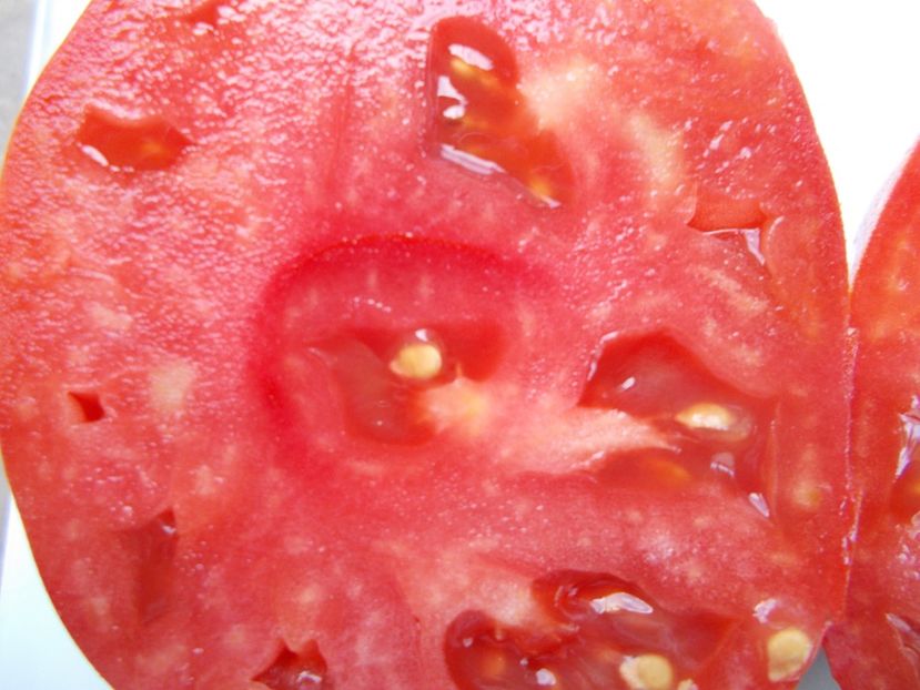  - SEMINTE ROSII - T 920 SUGAR HEART