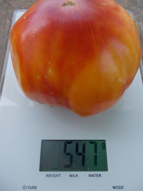  - SEMINTE ROSII - T 409 HESS