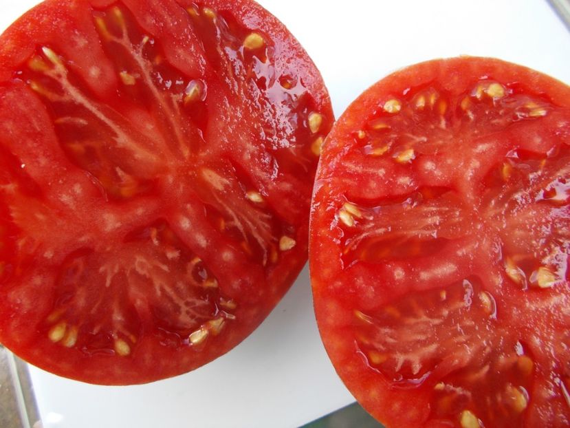  - SEMINTE ROSII - T 1101 DEAN S QUEENS