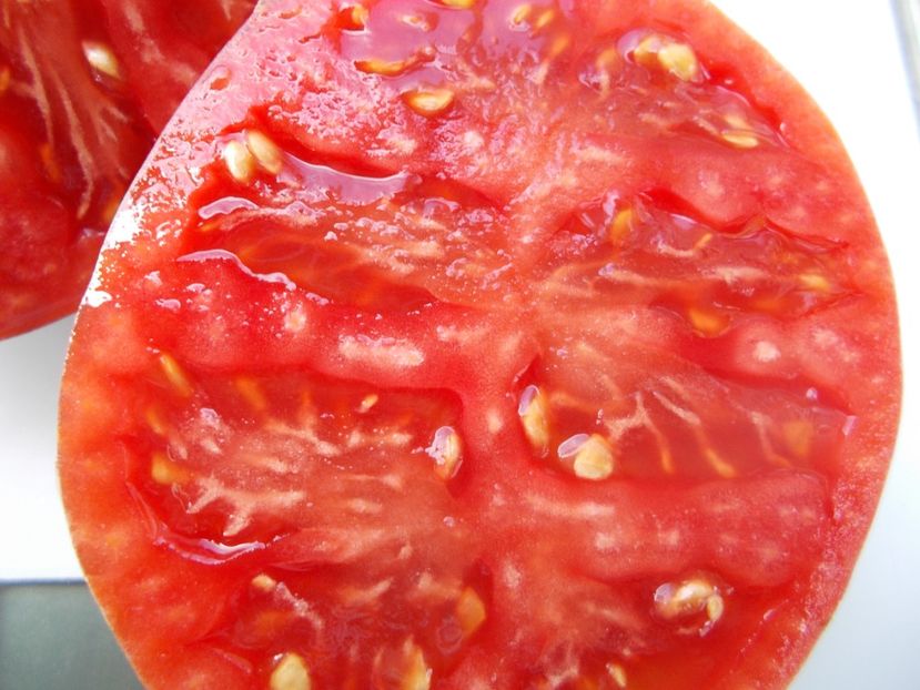  - SEMINTE ROSII - T 1101 DEAN S QUEENS