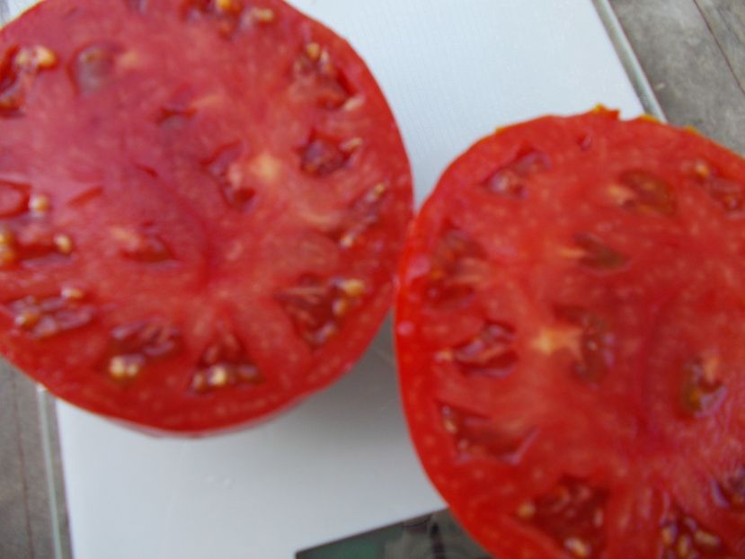  - SEMINTE ROSII - T 1069 BULL S FOREHEAD