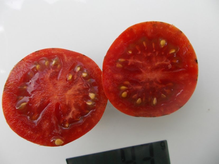  - SEMINTE ROSII - T 1108 ZI-YU