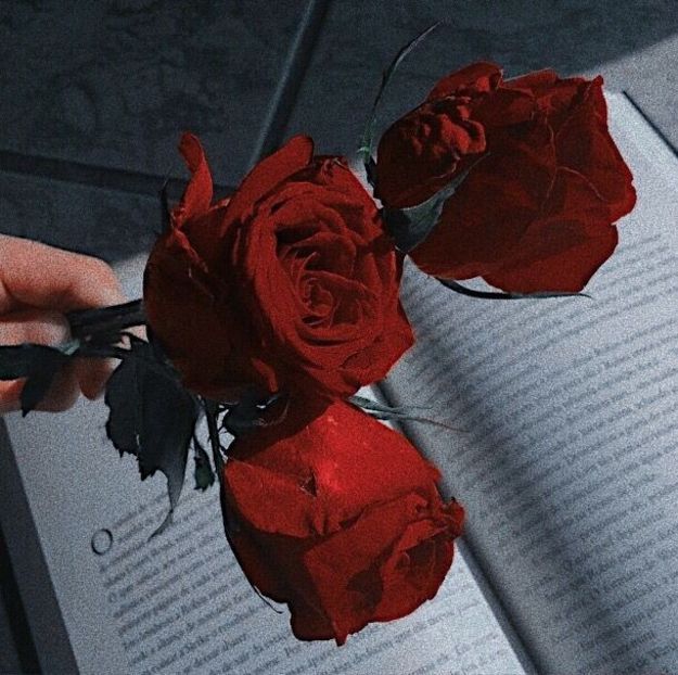  - - I - Challange - Days - Discuție - Lets Talk