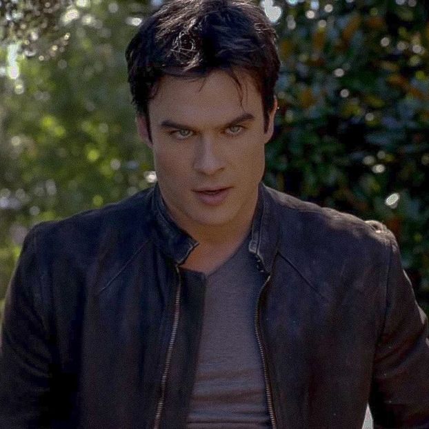 • crawlingback2me got Damon Salvatore. - when i see you on those streets