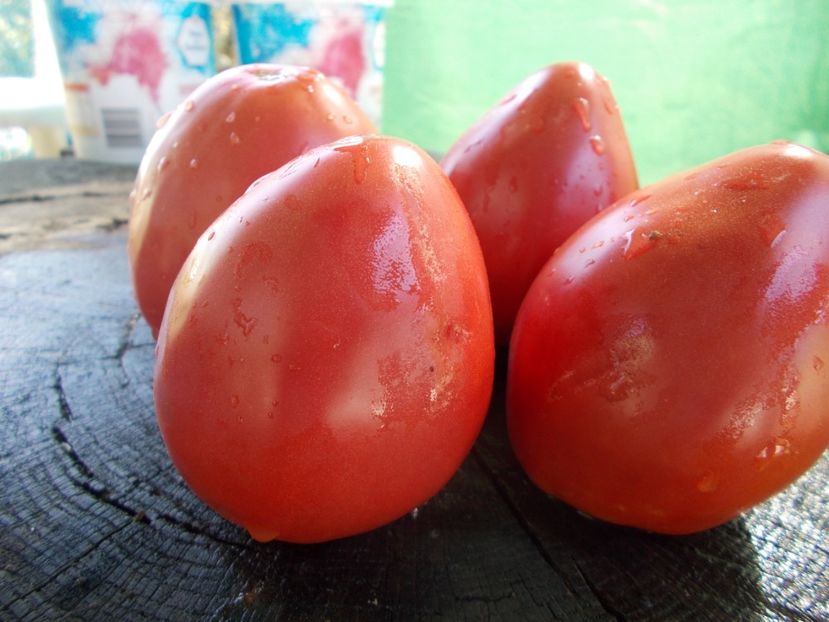  - SEMINTE ROSII - T 1066 BULL S HEART PINK