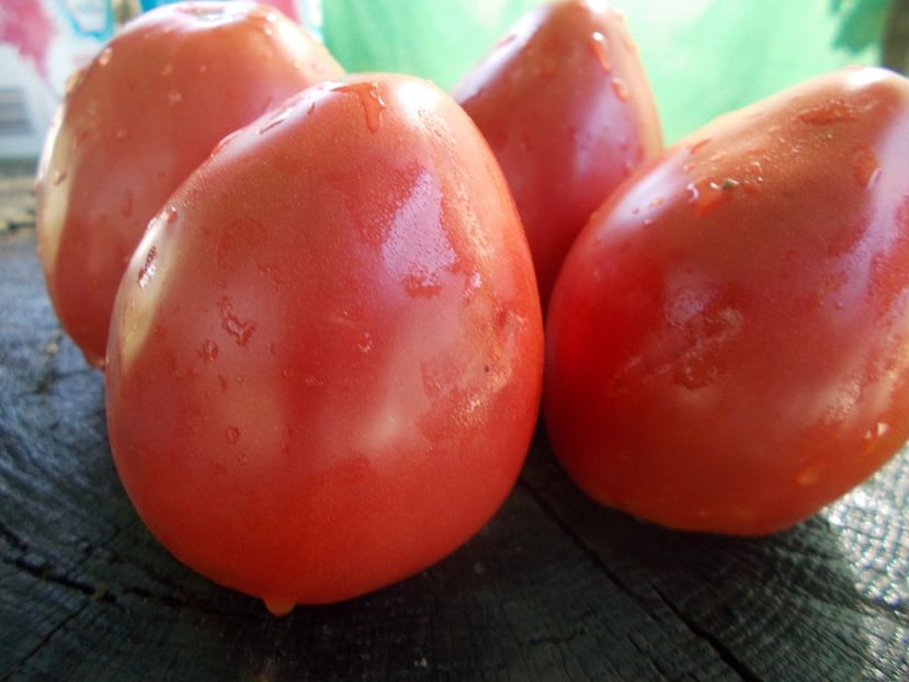  - SEMINTE ROSII - T 1066 BULL S HEART PINK