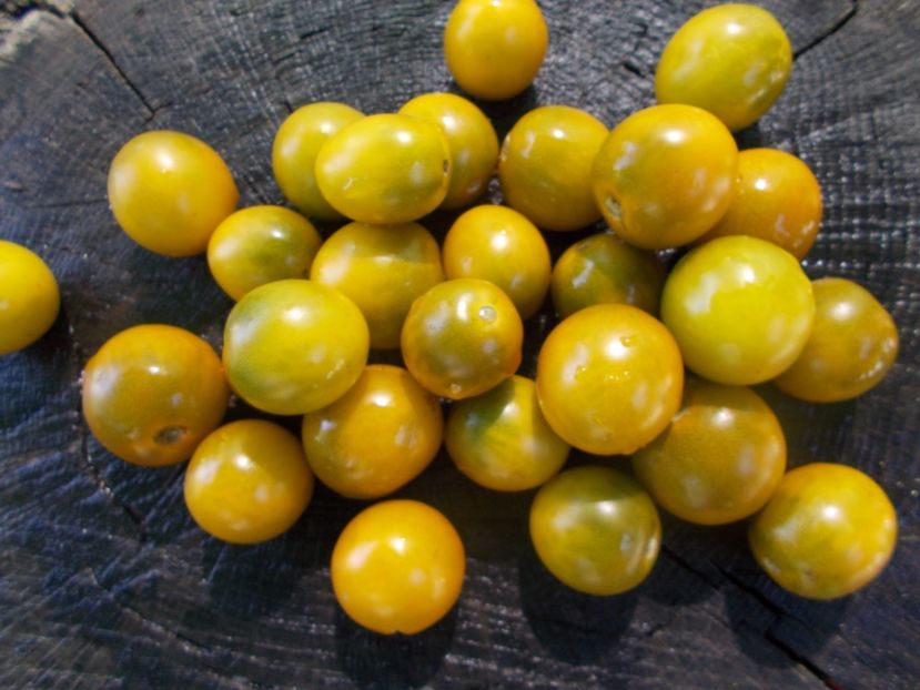  - SEMINTE ROSII - GREEN GRAPE